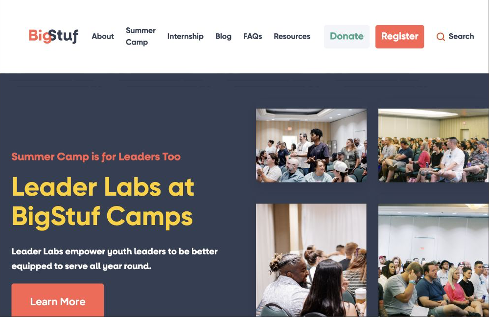 Reconstructed view of the earlier BigStuf Leader Labs page